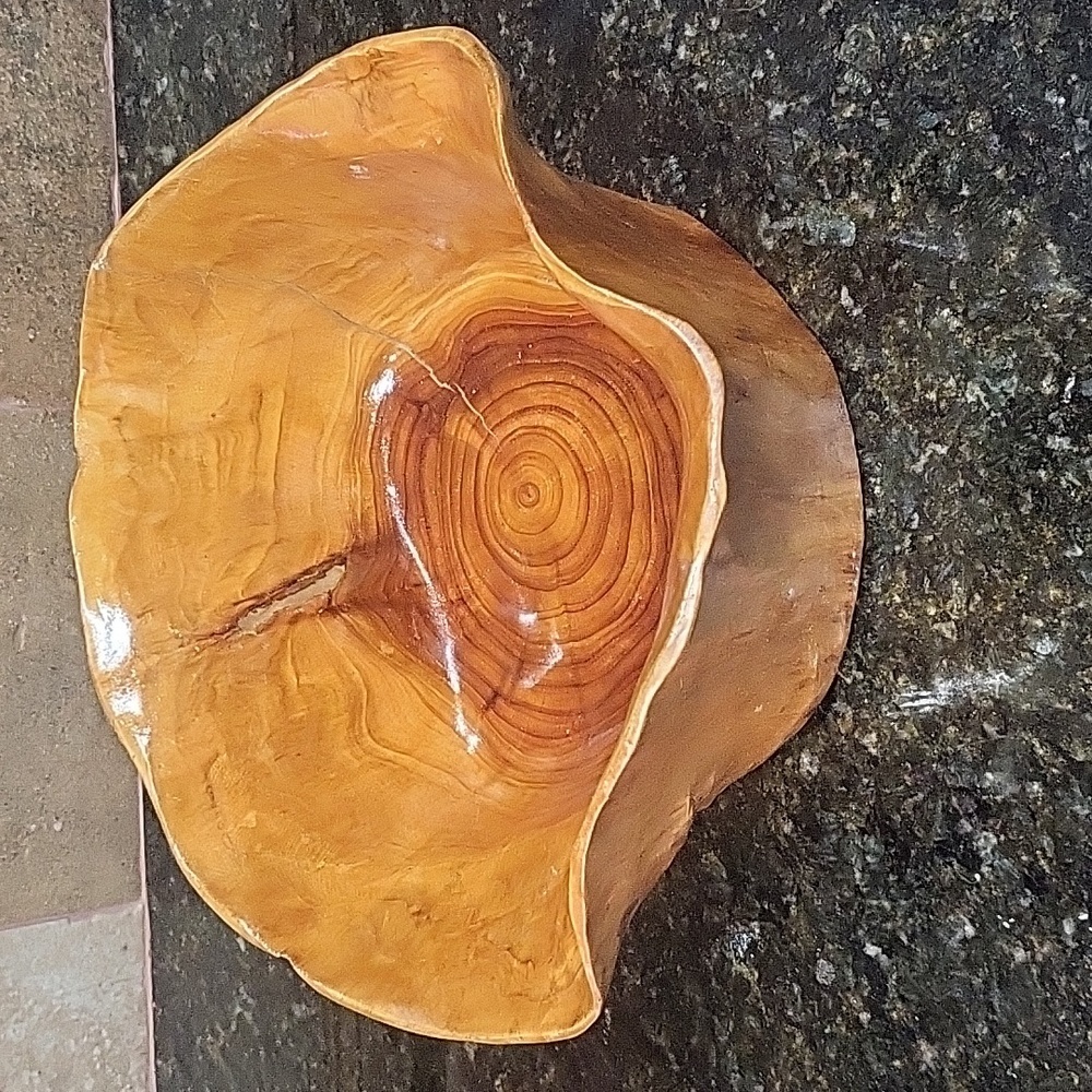 Large Hollow Carved Wood Stump Catchall Bowl Bin 9.5" Wide 5.5" Tall Burl Wood